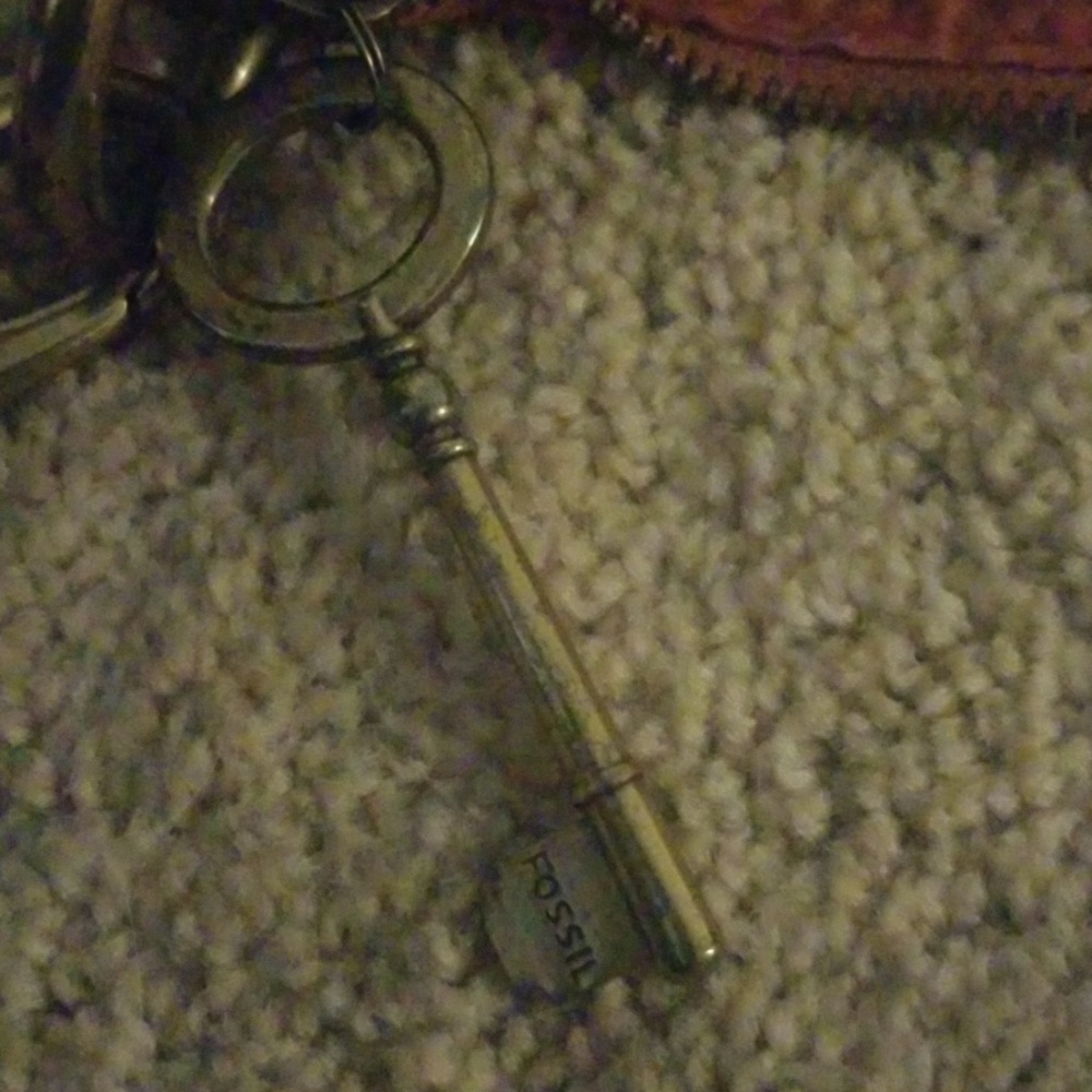 Fossil bag - Picture 6 of 7